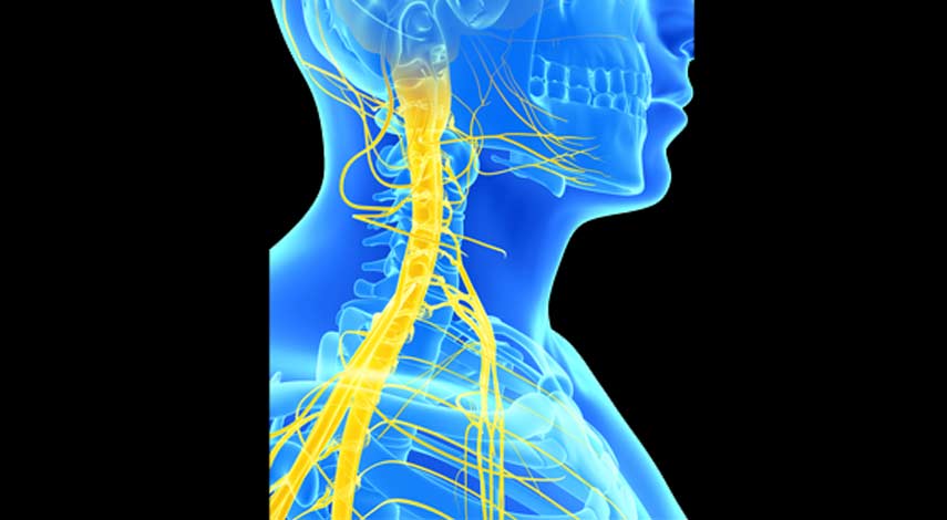 stellate-blocks-universal-care-personal-injury